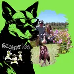 ecomarlee-team-picture