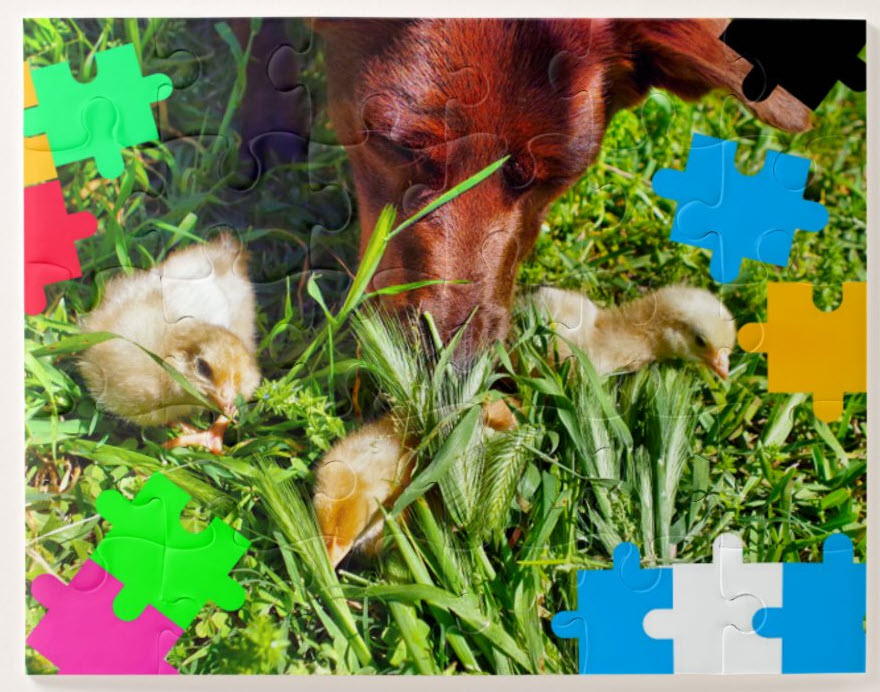 jigsaw-puzzles-for-kids-chicks